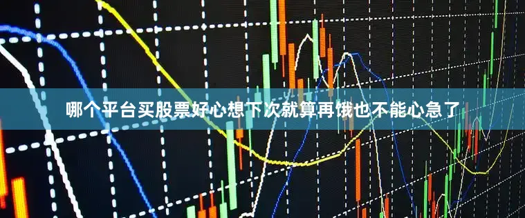哪个平台买股票好心想下次就算再饿也不能心急了